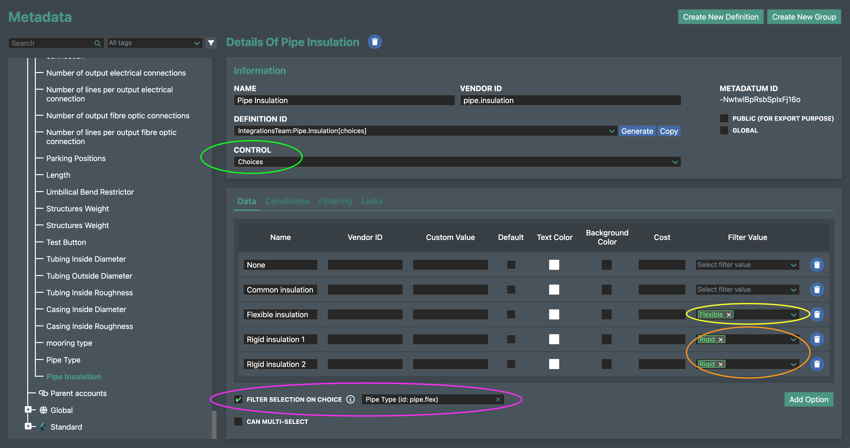Metadata definition with variable choices
