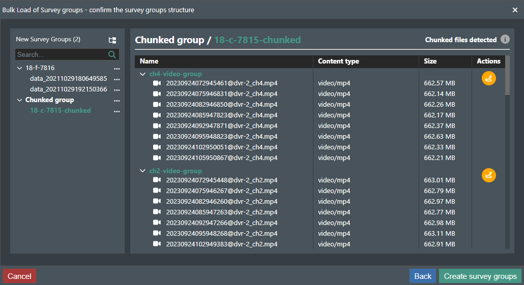 Chunked Survey group structure