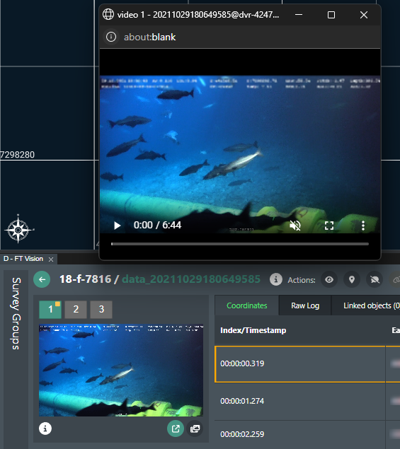 Video PiP controls